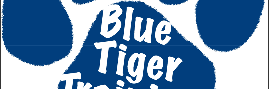 BlueTigerClaire's profile banner image