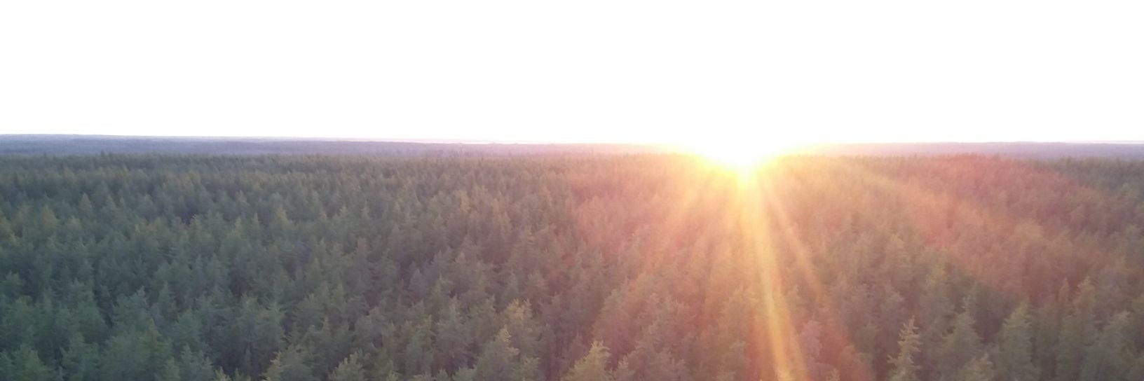 Magali Nehemy banner