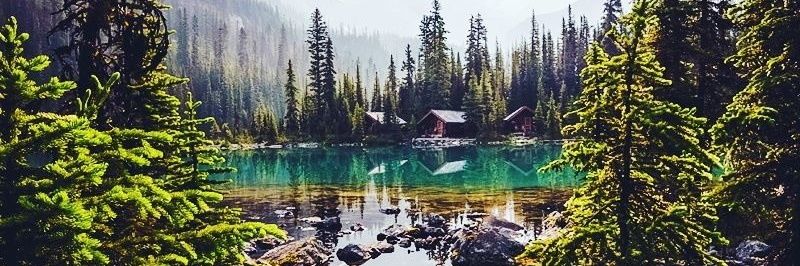 Robert Cowboy banner