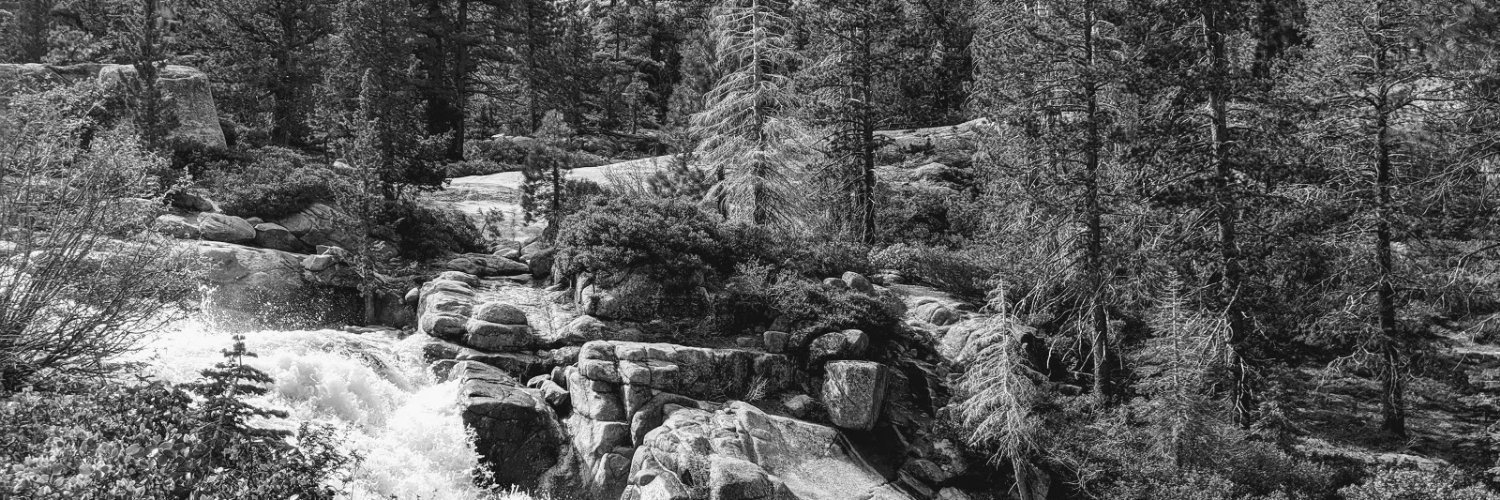 Arushi Varshney banner