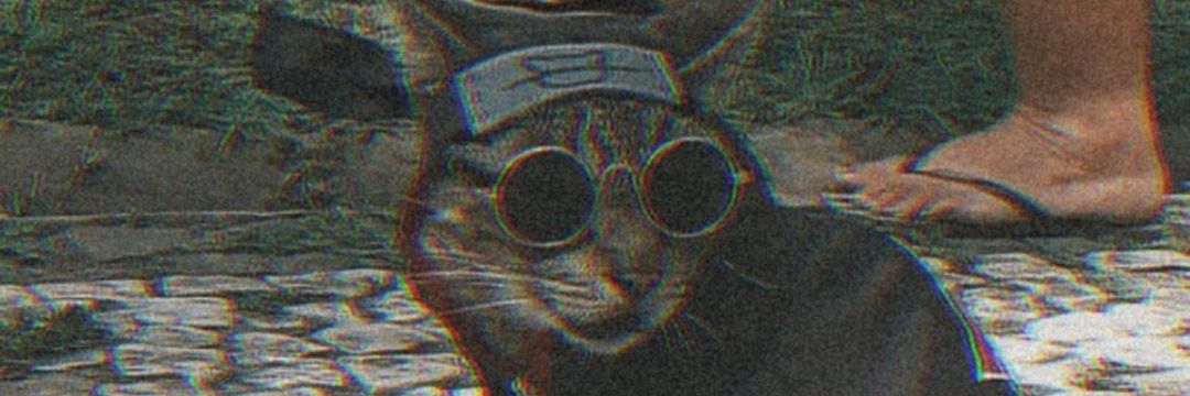 telhandogukan's profile banner image