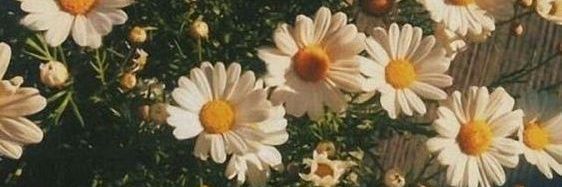 sn_saina's profile banner image