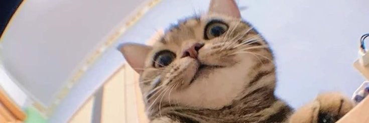 fainchW's profile banner image
