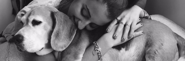 ivadellar's profile banner image