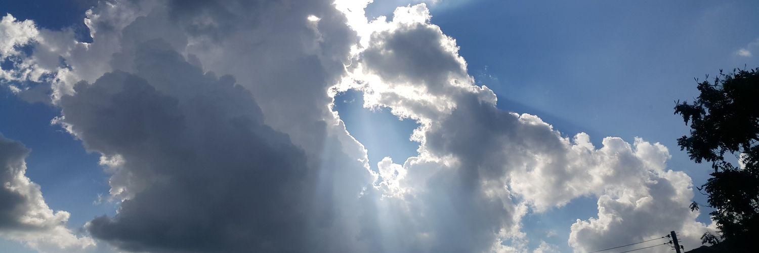 MisFyd's profile banner image
