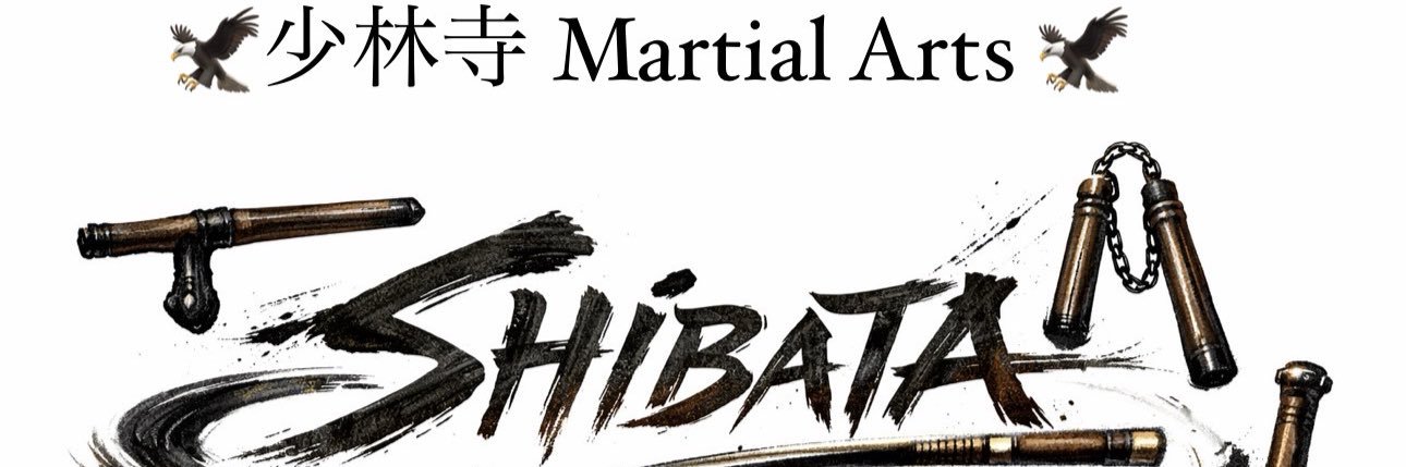ShibataRoberto's profile banner image