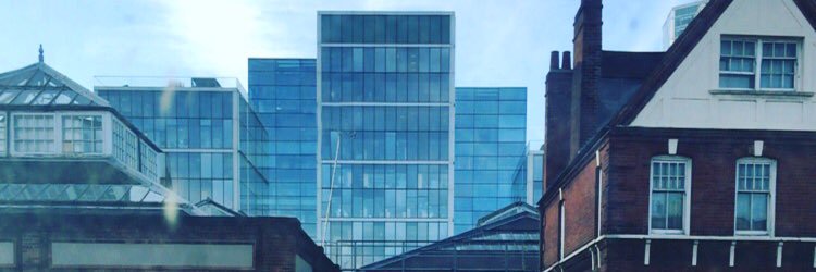 Isabel Lizardi banner