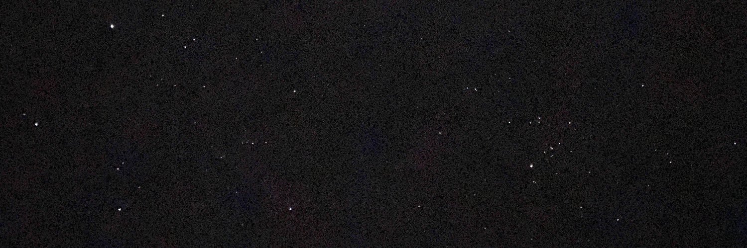 roundlittleworm's profile banner image
