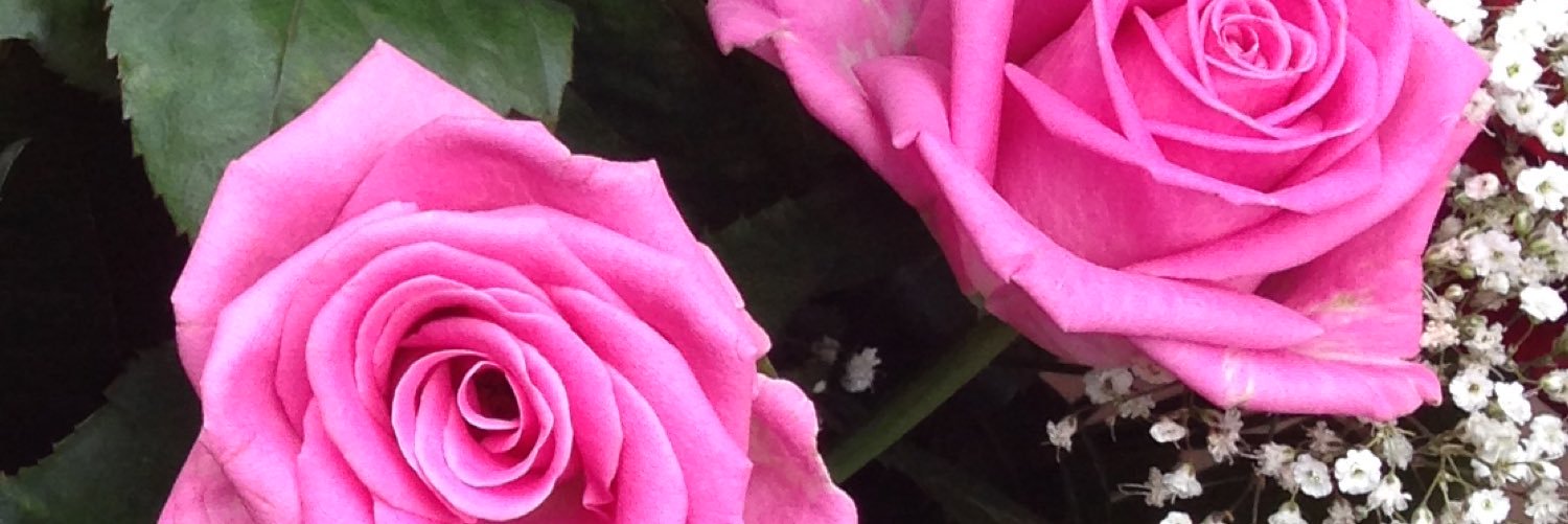 missdaniellecr's profile banner image