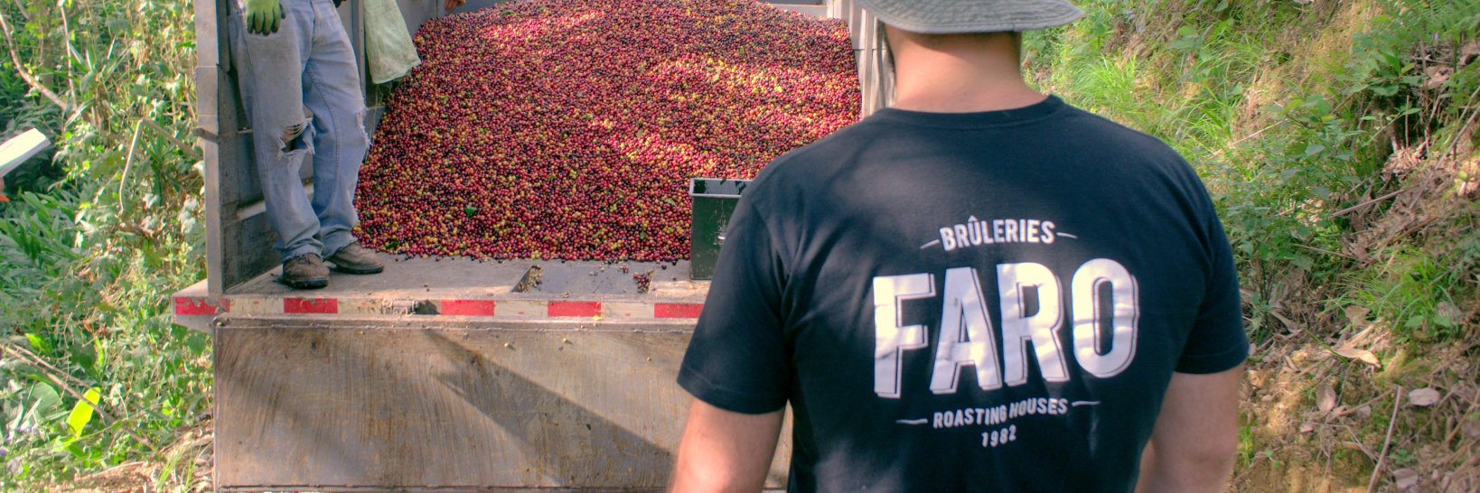 Bruleries FARO banner