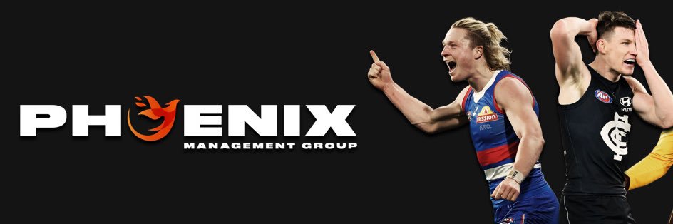 Phoenix Management Group banner