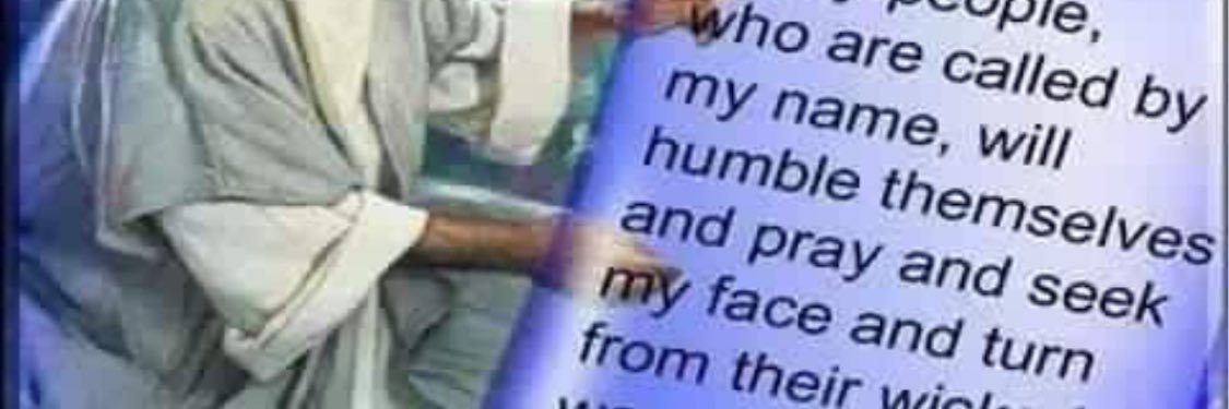 oneperry's profile banner image