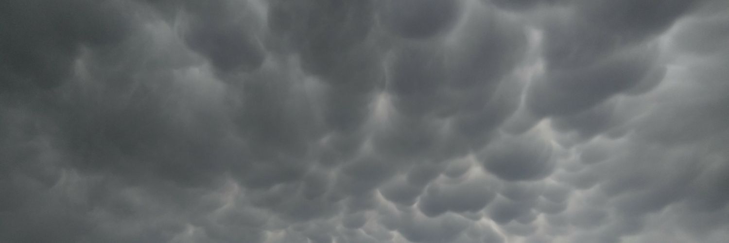 rainiiidaze's profile banner image