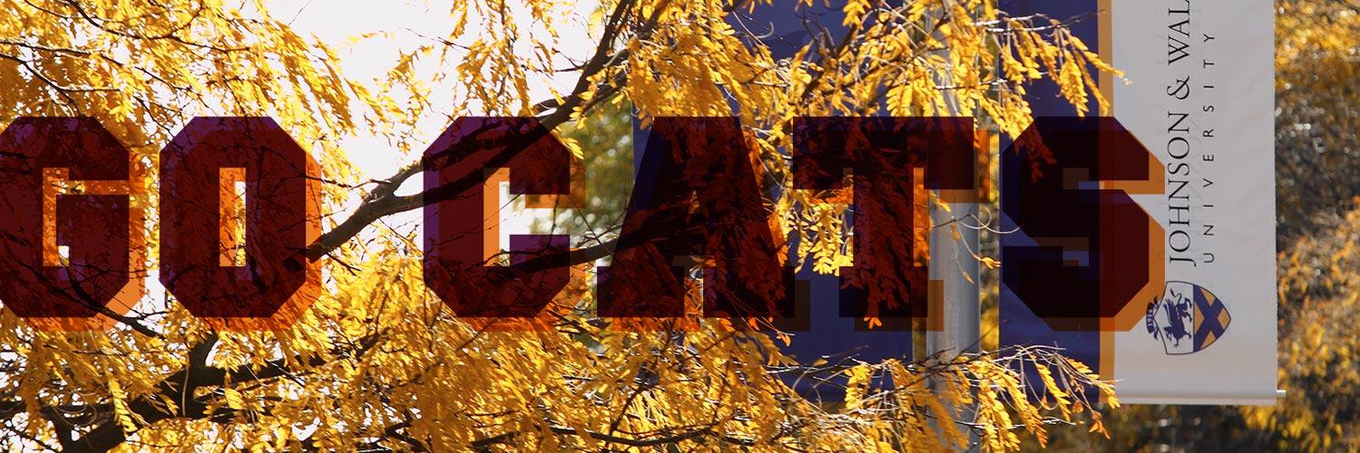 JWUPVDO's profile banner image