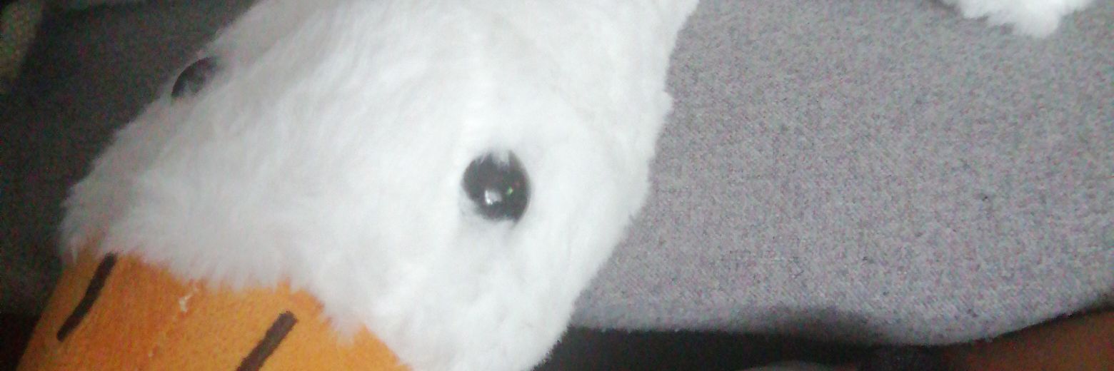 całym sercem za prawicą /bb banner