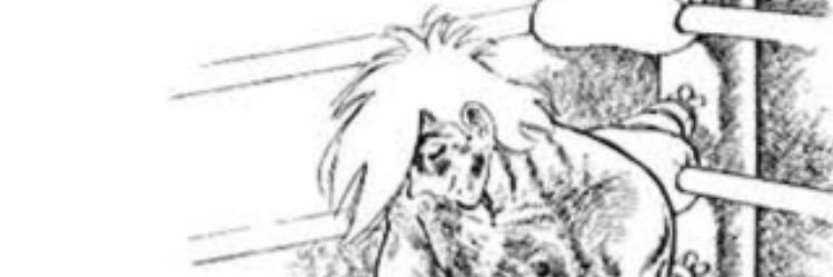 8_km0's profile banner image