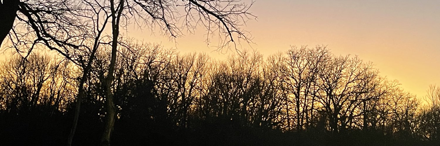 crystaltesfaye0's profile banner image