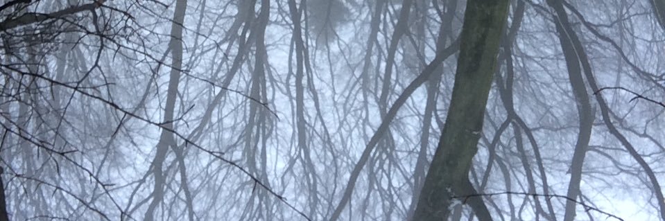 johsstochs's profile banner image