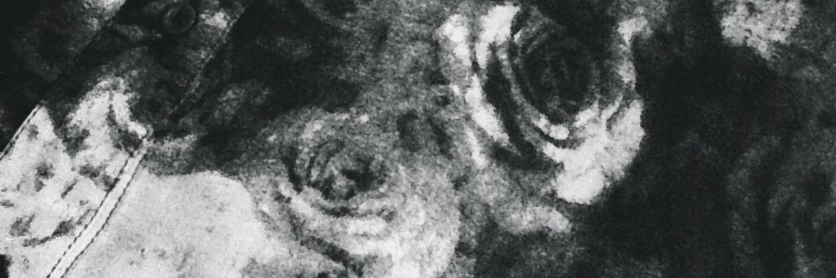 hanyanyuu's profile banner image