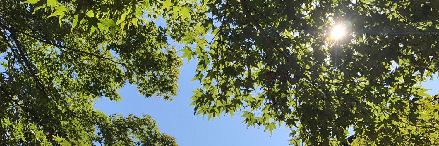 888mt121's profile banner image
