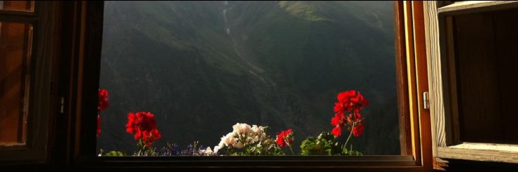🎐 banner