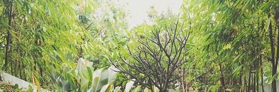 aickillsang's profile banner image