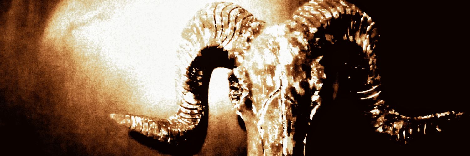 MaelinBass's profile banner image