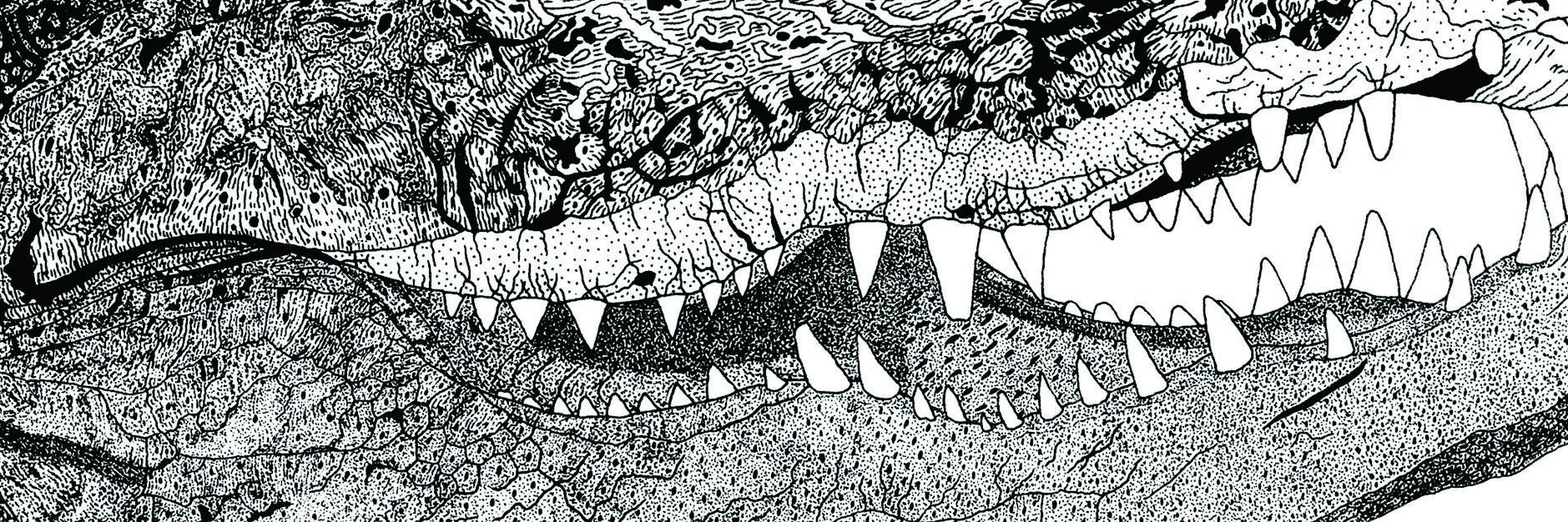 shaundparr's profile banner image