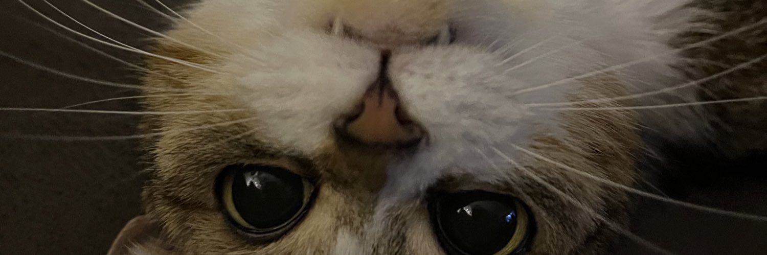 willylajos's profile banner image