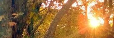 Gra3679's profile banner image