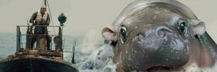 Yo banner