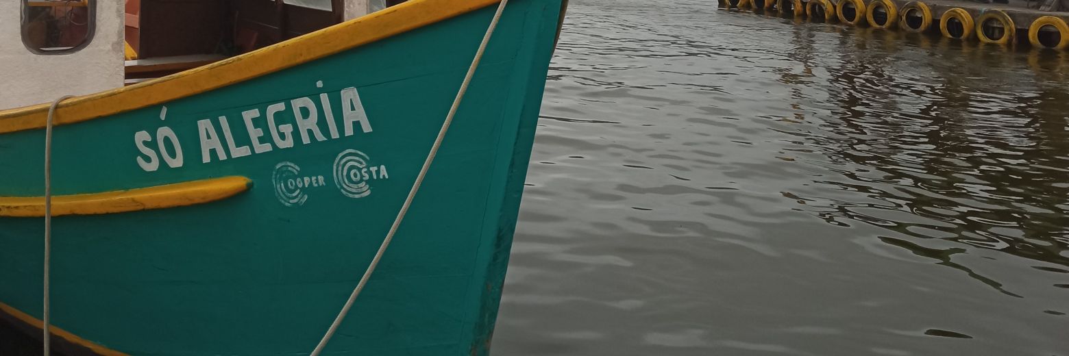 bárbara banner