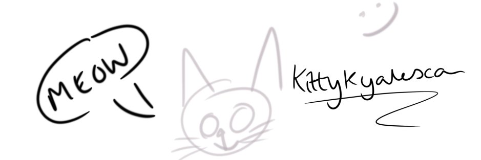 Kitty banner