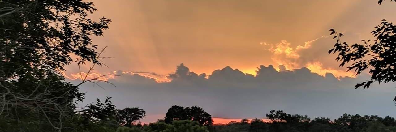 colliert22's profile banner image