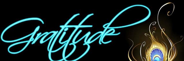 Notboujeeenough's profile banner image