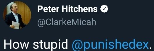 Beth🏳️‍🌈🟨⬜️🟪⬛️ (muzzled) banner