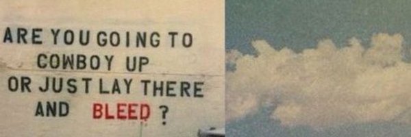 SnipeTheState Profile Banner