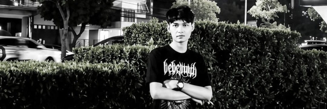 Renaldysp's profile banner image
