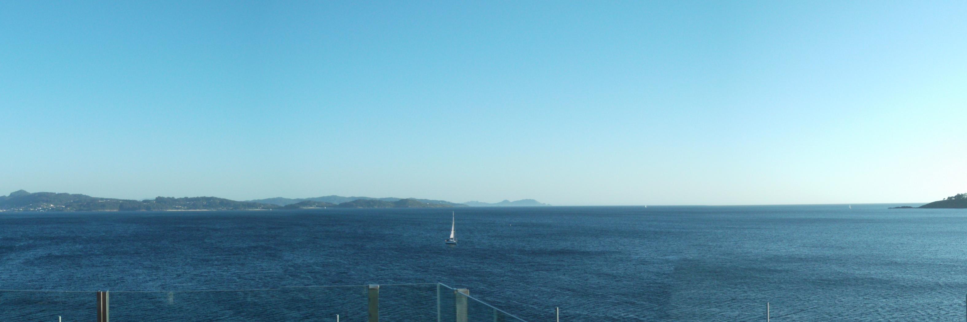 Alejandro Calvo 🦴 banner