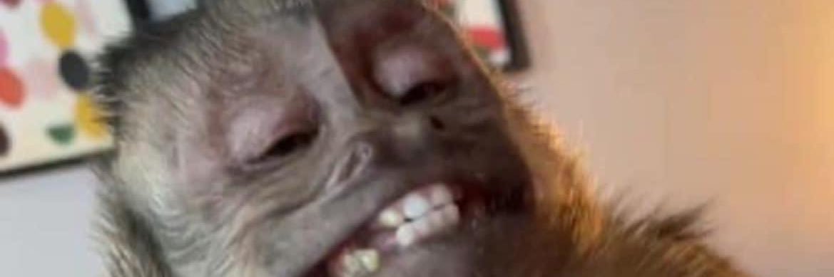1Narval's profile banner image