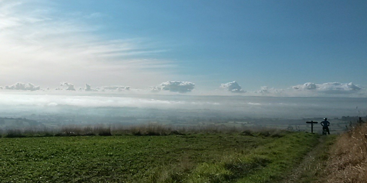 Lisa de Rijk banner