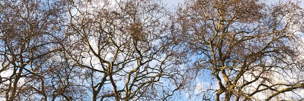 ecewr Profile Banner