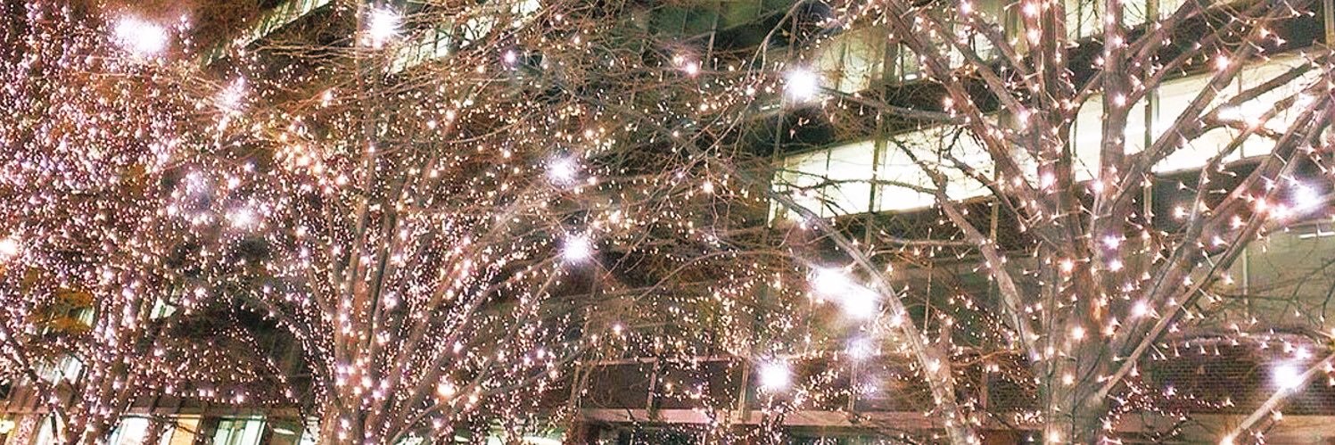 取引 banner