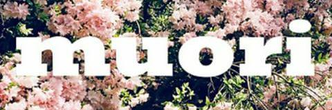 Sacchi_Elisa's profile banner image