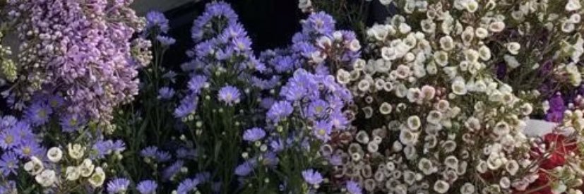 trinityysoliss's profile banner image