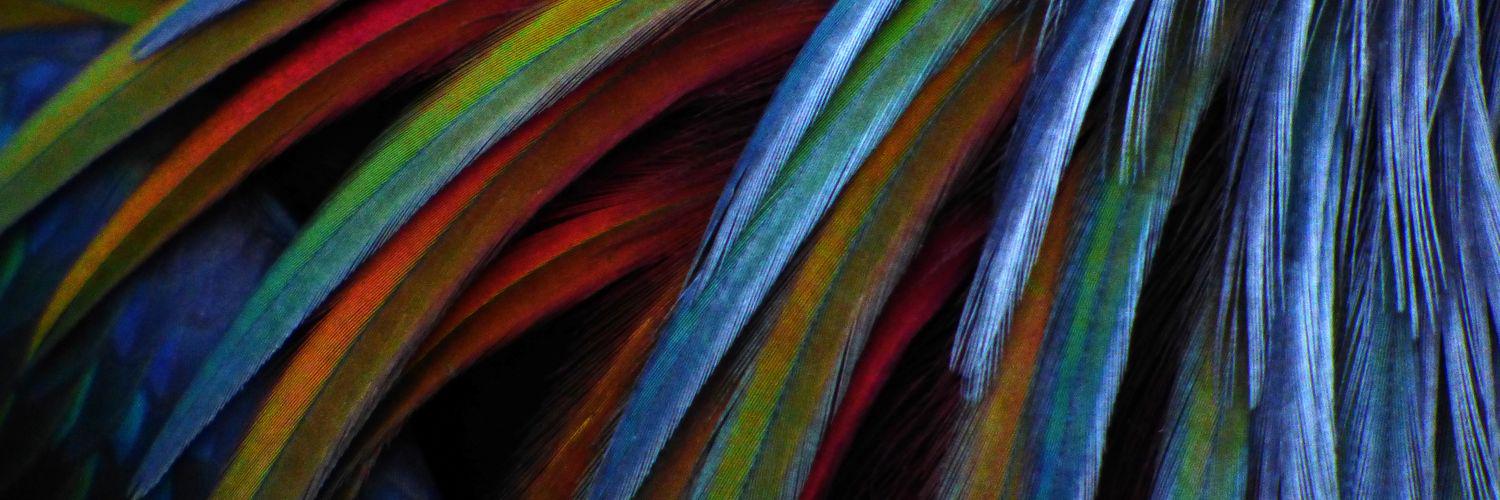 WandaWeber1's profile banner image