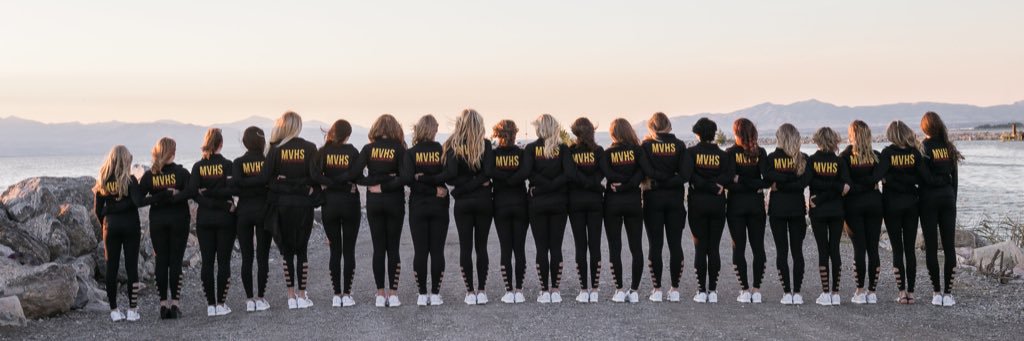MVHSOrchesis's profile banner image