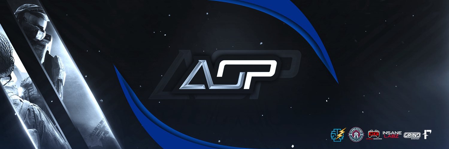 Art of Perfection Gaming banner