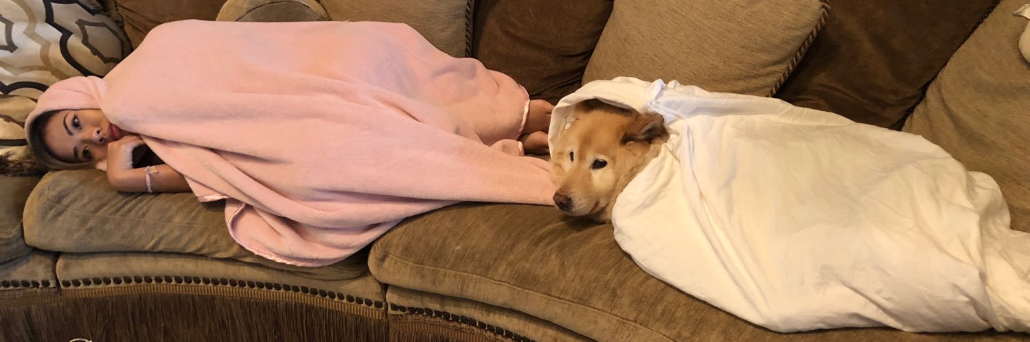 lillyvo's profile banner image