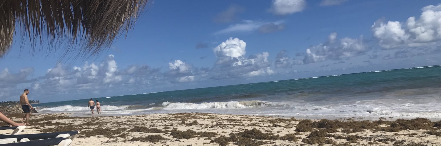 danguerche's profile banner image